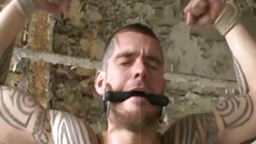 Niebieskie próżności filmy erotyczno dramat polskie cda Xxx